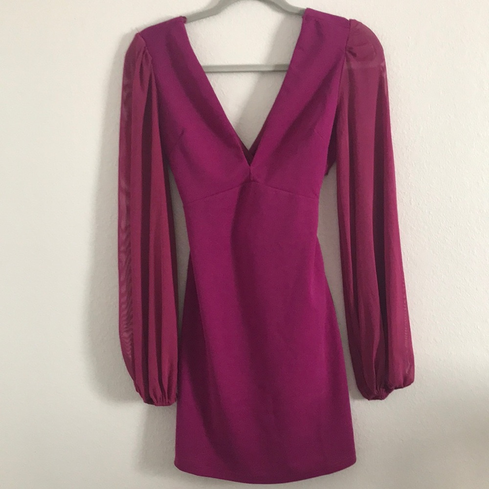 Sheer long sleeve Dress NWOT